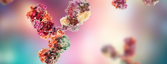 Institute for Immunologic Intervention (3i)