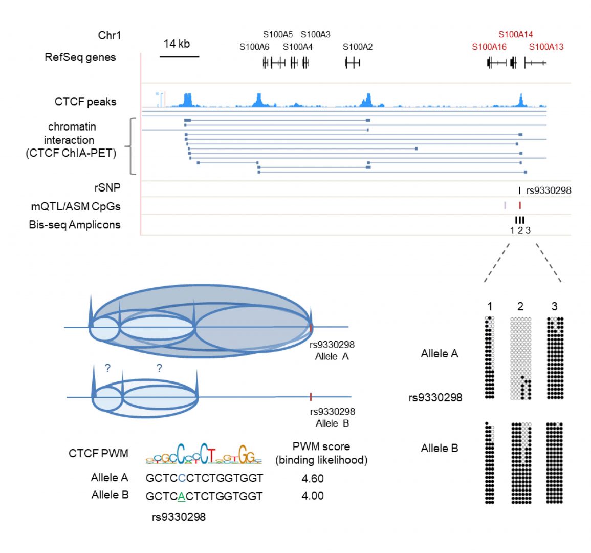 Data Slide Illustration